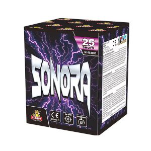 BATERIA 25 DISPAROS - SONORA