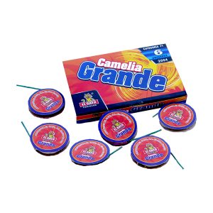 CAMELIAS GRANDES