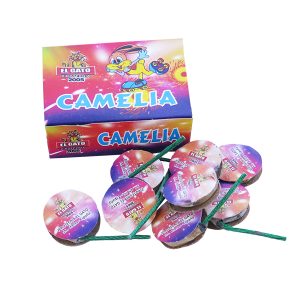 CAMELIAS PEQUEÑAS